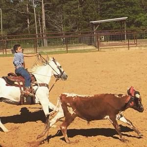 Meet your Posher, Damien